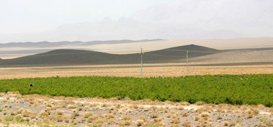 Fragancia de rosas en el desierto: Irán